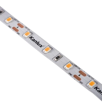 LED juosta L60 11W/M 12 IP00 WW