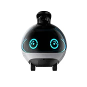 enabot EBO X Überwachungsroboter mit Kamera WLAN kaina
