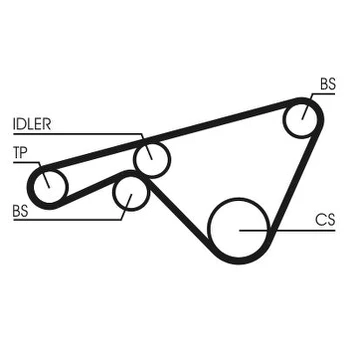 CONTI CT 925 Balancer shaft belt