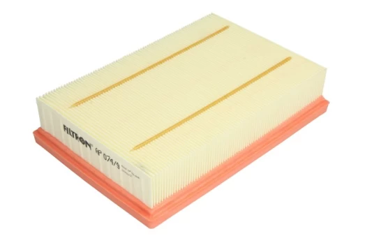 Oro filtras FILTRON AP074/9