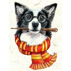 Deimantinis paveikslas Border collie wizard 30*40 cm WD2697