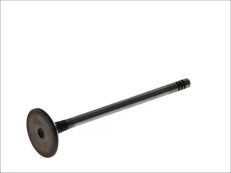 FRECCIA 6161/SCR Inlet valve kaina