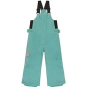 Roxy Slidinėjimo kelnės Lola ERLTP03012 Žalia Regular Fit