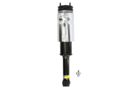 ARNOTT EUROPE AS-2809 Air suspension strut kaina