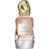 - 100 ml