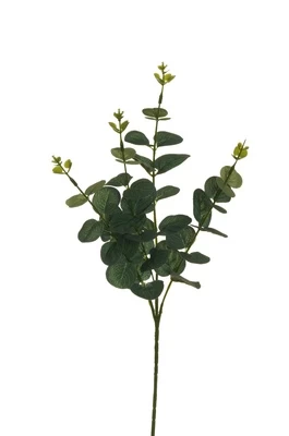 Dirbtinė šakelė, eukaliptas, žalia, 620 mm