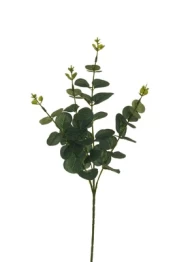 Dirbtinė šakelė, eukaliptas, žalia, 620 mm kaina