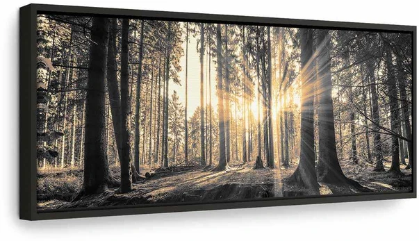 Artgeist Paveikslas - Forest Sun