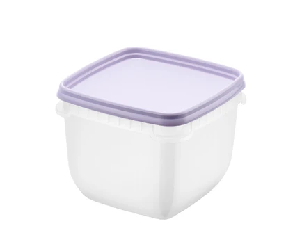 Vienkartiniai šaldymo indeliai ORTHEX, 750 ml, 4 vnt