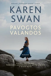 Pavogtos valandos kaina