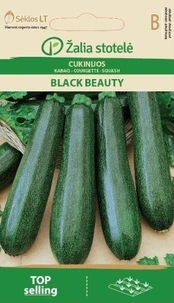 Cukinijos Black beauty