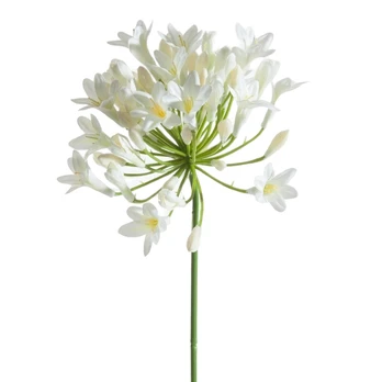 Dirbtinė gėlė Natu 389, kreminė, 76 cm
