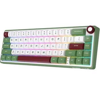 ROYAL KLUDGE R65 Green, Brown Switch, US