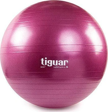 Gimnastikos kamuolys TIGUAR Safety Plus, 65cm