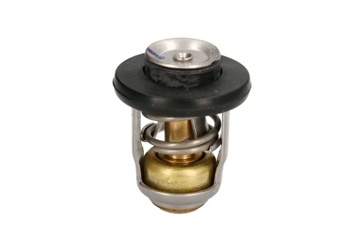termostatas, aušinimo skystis 8M0119207