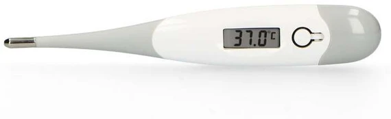 Termometras Alecto BC-19GS, skaitmeninis