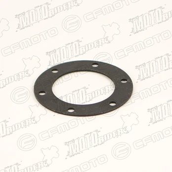 Q800-313005-00100 GEAR WASHER