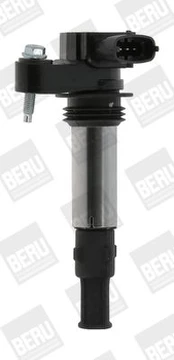 Ritė, uždegimas BorgWarner (BERU) ZSE174