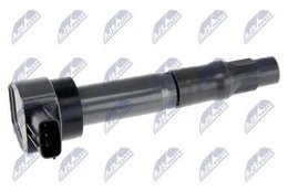 Ritė, uždegimas NTY ECZ-MS-016