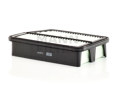 Oro filtras C26013