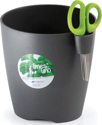 Prosperplast Žolelių vazonas su žirklėmis Limes Uno DLU150 grafitas