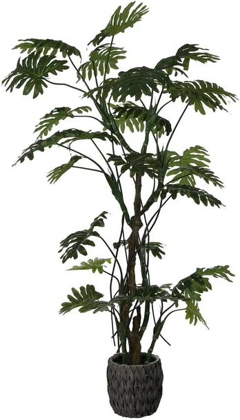 Dirbtinis augalas Filodendras, 210 cm