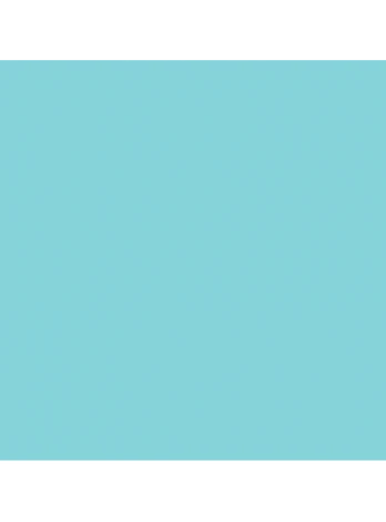 Servetėlė DUNISOFT mint blue 40x40 cm (60 vnt.)
