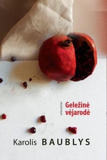 Geležinė vėjarodė
