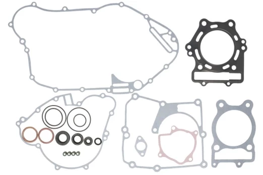 Engine gaskets - set WINDEROSA