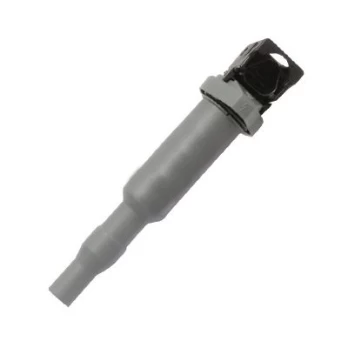 Ritė, uždegimas HITACHI 133876
