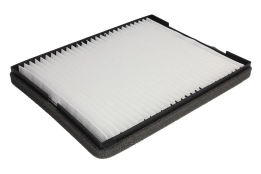 Salono filtras PURRO PUR-PC8000