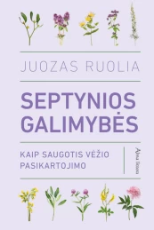 KNYGA Septynios galimybės kaina