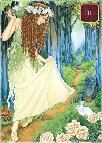 Pocket Dreams Of Gaia Tarot Kortos