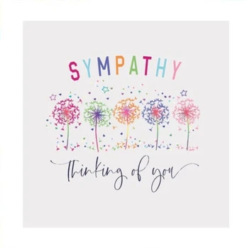 Confetti Celebration Sympathy