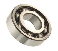 guolis SKF 6007 /SKF/ kaina