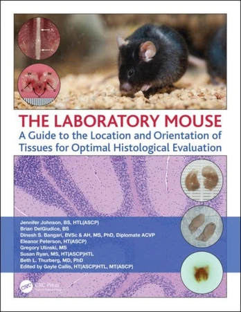 Laboratory Mouse - Minkštas viršelis