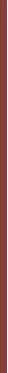 Clinique Quickliners For Lips Lip Liner Rožinė Honey 1 U