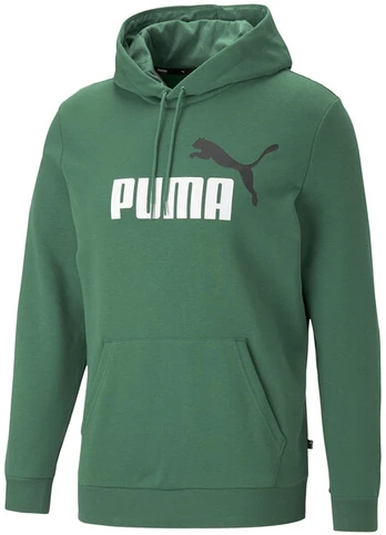 Džemperis vyrams Puma Ess 2 Col Big Logo 586765 37, žalias