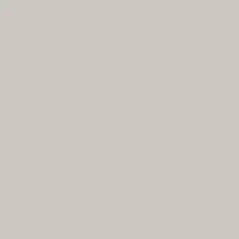 SKYDAS LMDP 865X495X18 PILKAS 0112 PE