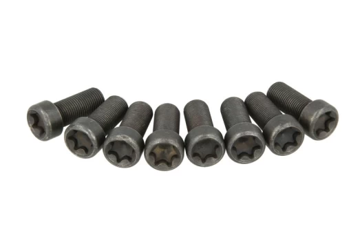 LUK 411 0227 10 Flywheel bolt set