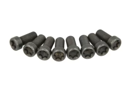 LUK 411 0227 10 Flywheel bolt set kaina