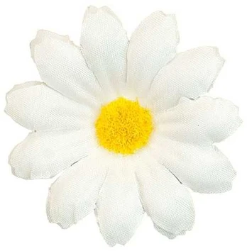 Widmann Margueritter, 20 stk