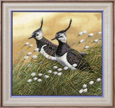 Beldizart Lapwings S/Z058