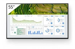 Monitorius Sony Bravia Professional FW-55BZ30L