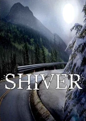 Shiver Steam kaina