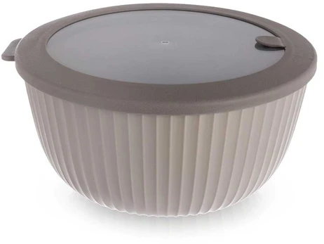 Dubuo su dangčiu 21 cm 2,5 l