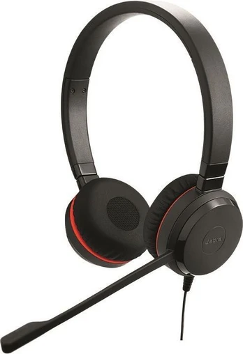 Ausinės Jabra Evolve 30