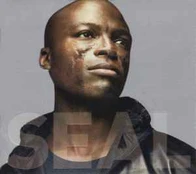 CD Seal - Seal IV