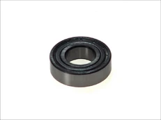 Leje SKF 6004 2Z kaina