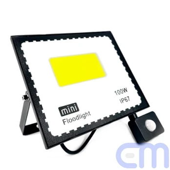 Lauko šviestuvas 100W LED su davikliu Mini Floodlight
